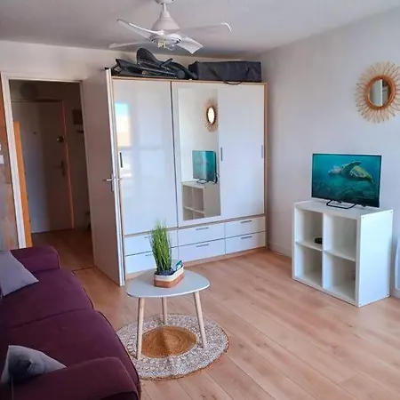 Apartment Studio Cabine 4 Pers, Pkg Prive, Proche L'ile De Loisirs